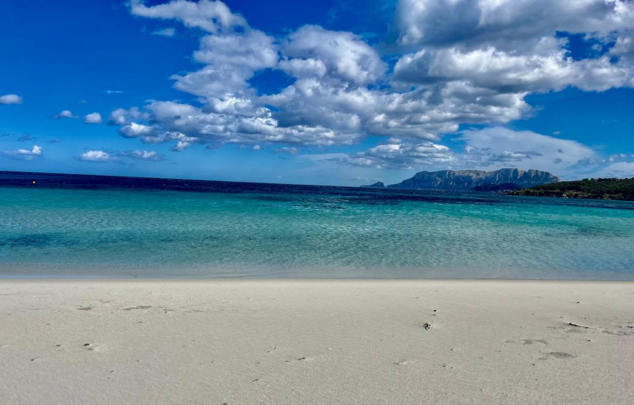 Hotel Stefania Boutique By The Olbia